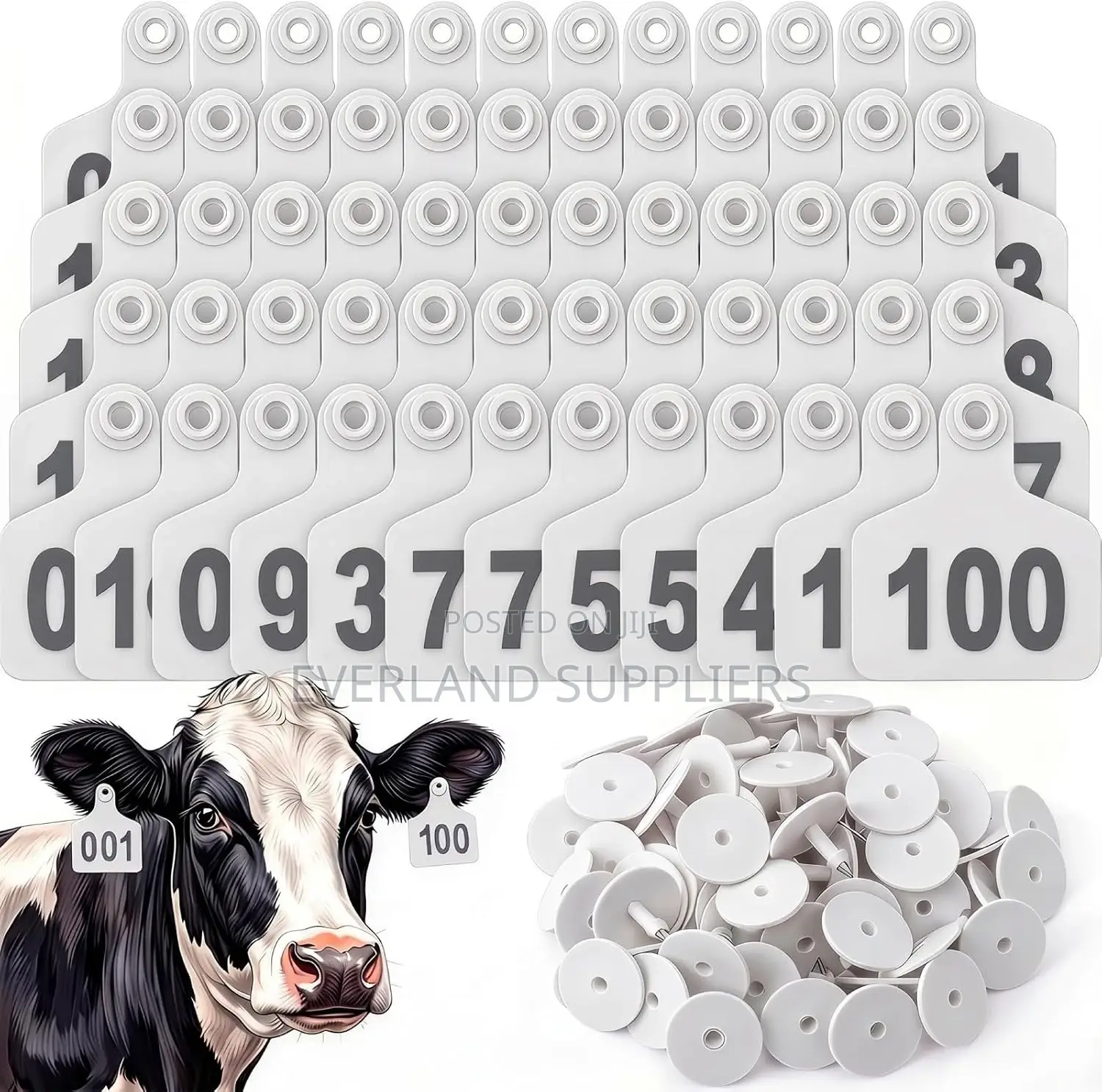 Cattle Production Year Medium Ear Tag