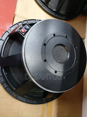 Naked Bess Speaker 18" Coil Size 125