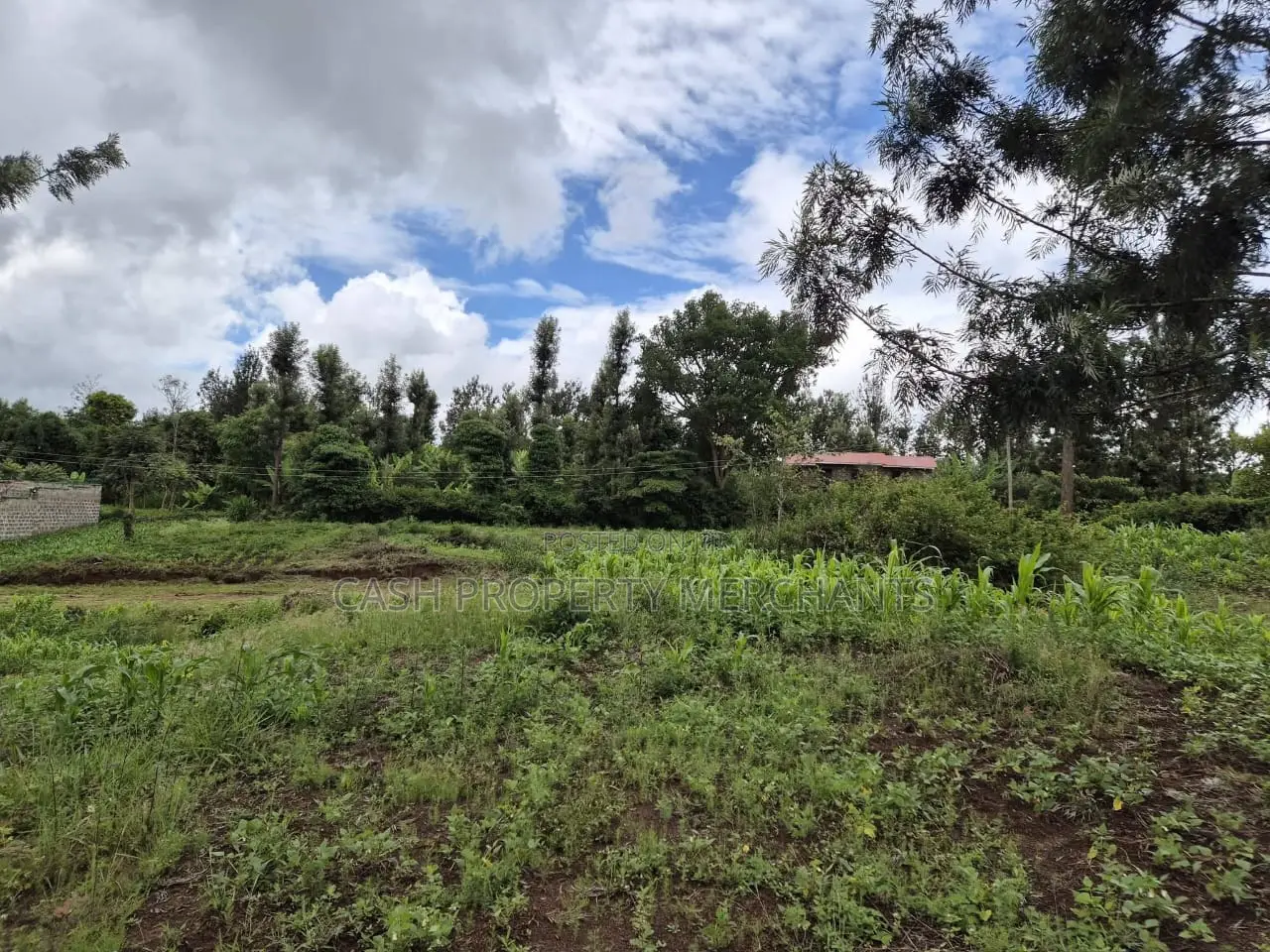 Prime 1⁄8 Acre Residential Plot – Juja-Gachororo