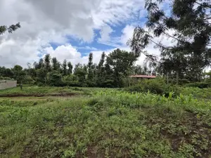 Prime 1⁄8 Acre Residential Plot – Juja-Gachororo