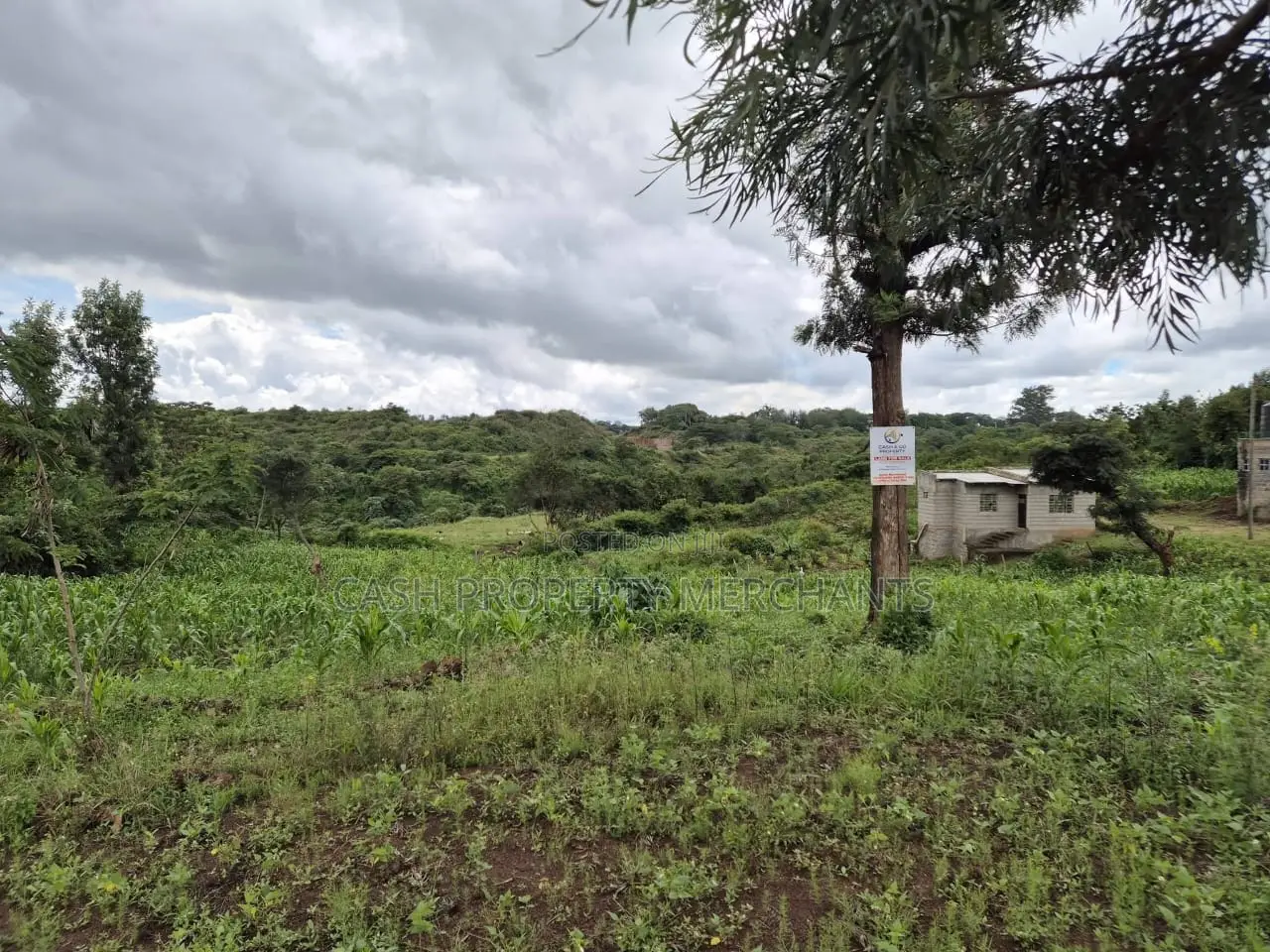 Prime 1⁄8 Acre Residential Plot – Juja-Gachororo