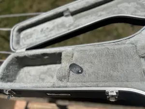 Roadrunner Hard guitarCase Bag