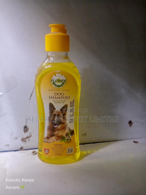 Natural Anti Bacterial Dog Shampoo 250ml