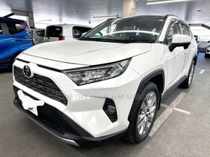 Toyota RAV4 2019