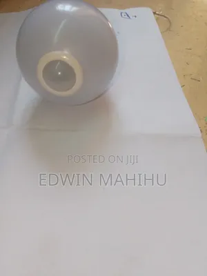 Motion Censor Bulb