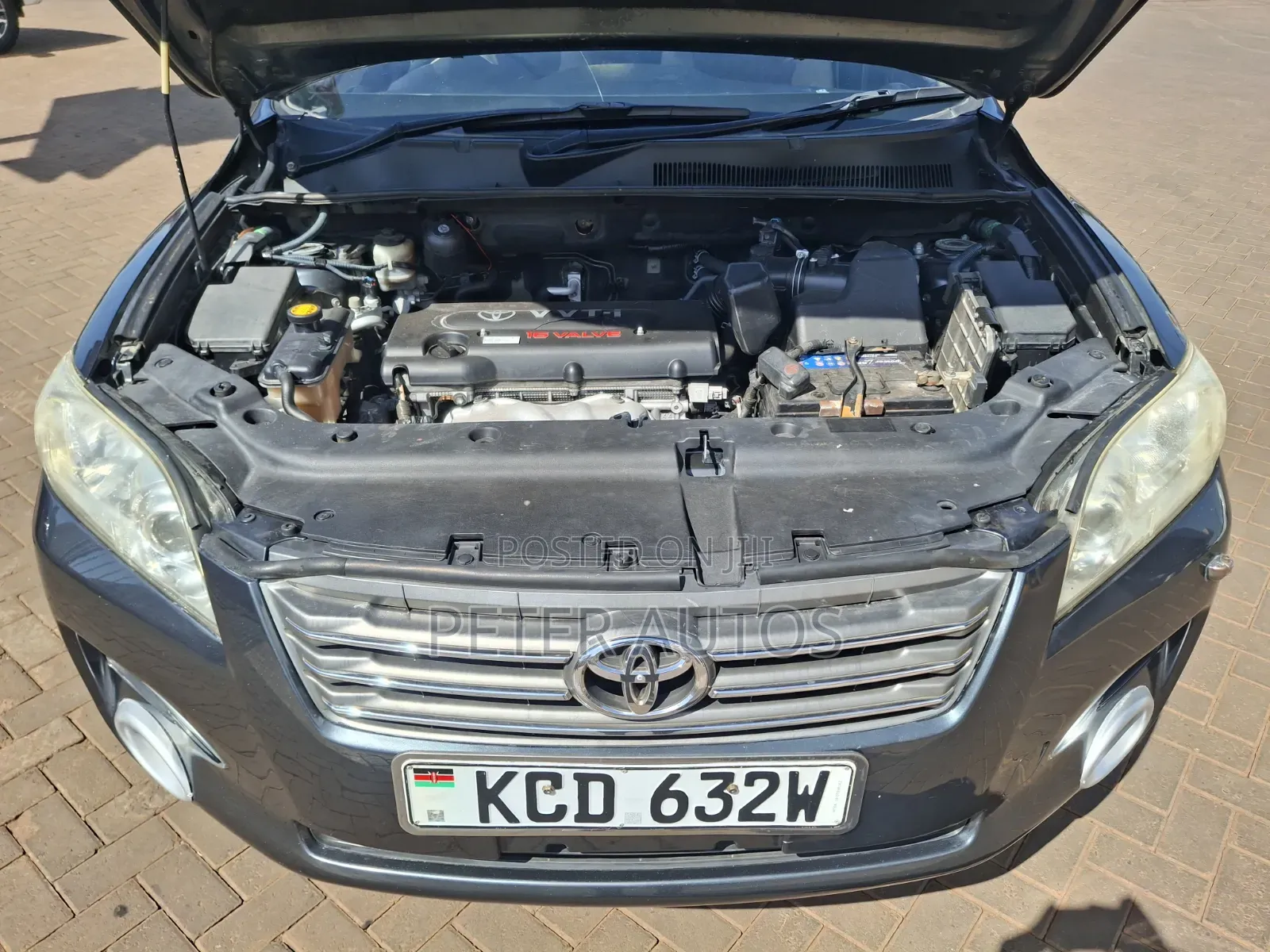 Toyota Vanguard 2009 Green
