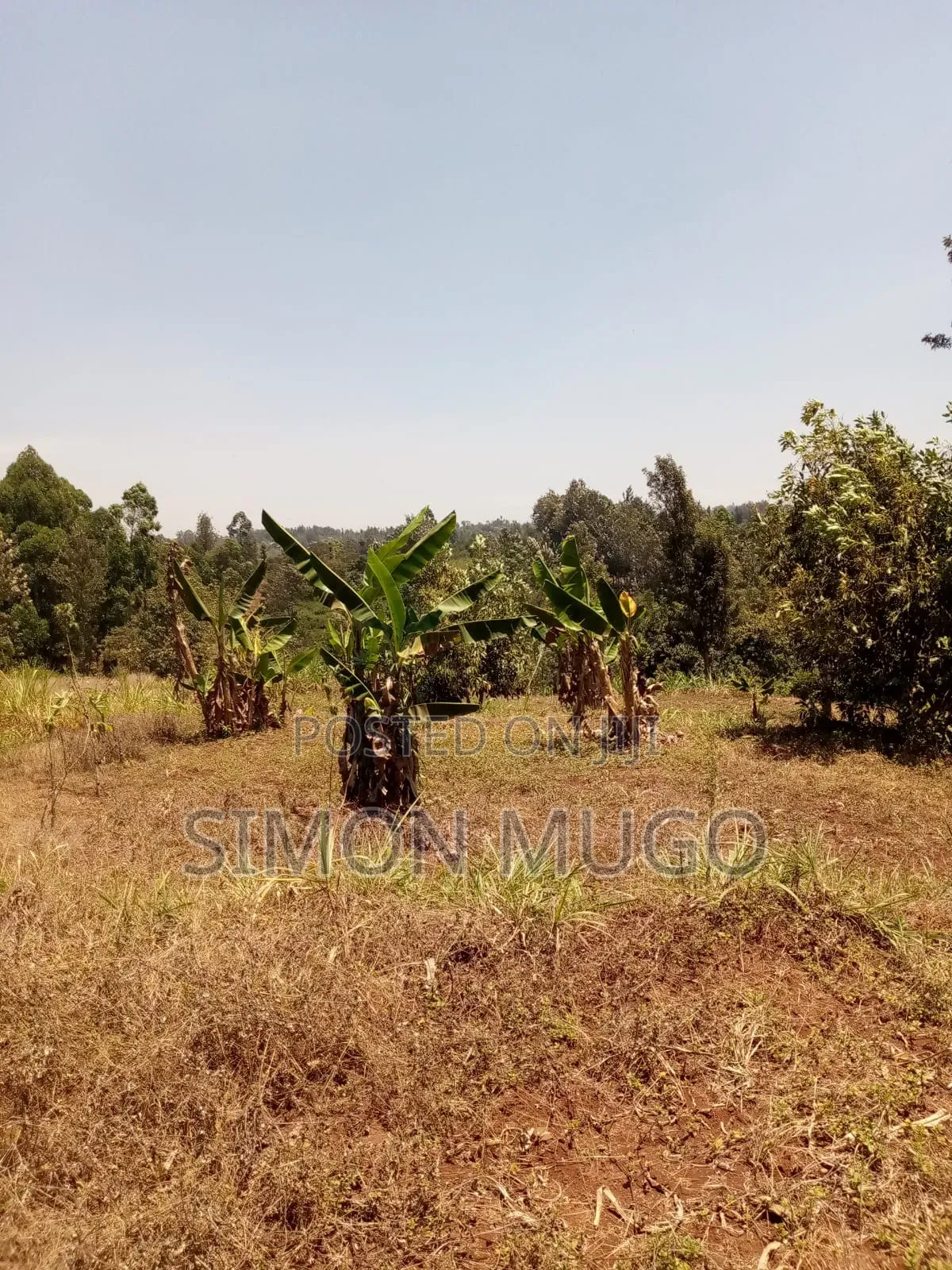 Kirwara Gatanga Prime 4.3 Acres @ 5 Millions Per Acre