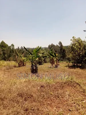 Kirwara Gatanga Prime 4.3 Acres @ 5 Millions Per Acre