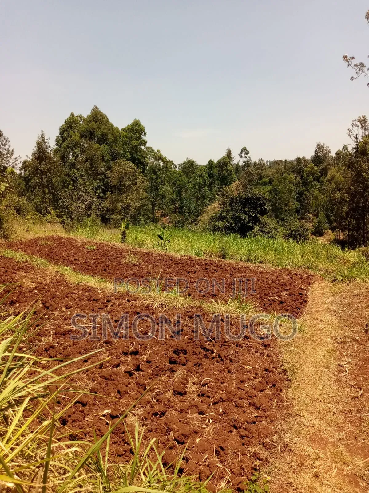 Kirwara Gatanga Prime 4.3 Acres @ 5 Millions Per Acre