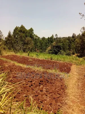 Kirwara Gatanga Prime 4.3 Acres @ 5 Millions Per Acre