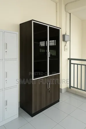 Executive Modern Office Cabinet