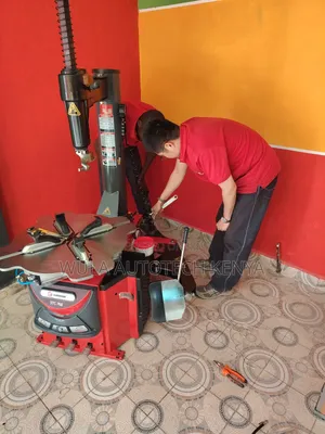 2026 Italian Technology Sunshine Tyre Changer Machine Stc768 Sunshine
