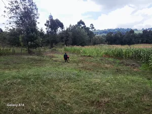 100by100 in Ndeiya