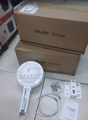 Ruijie 6262G Outdoor WiFi 6 Long Range Access Point