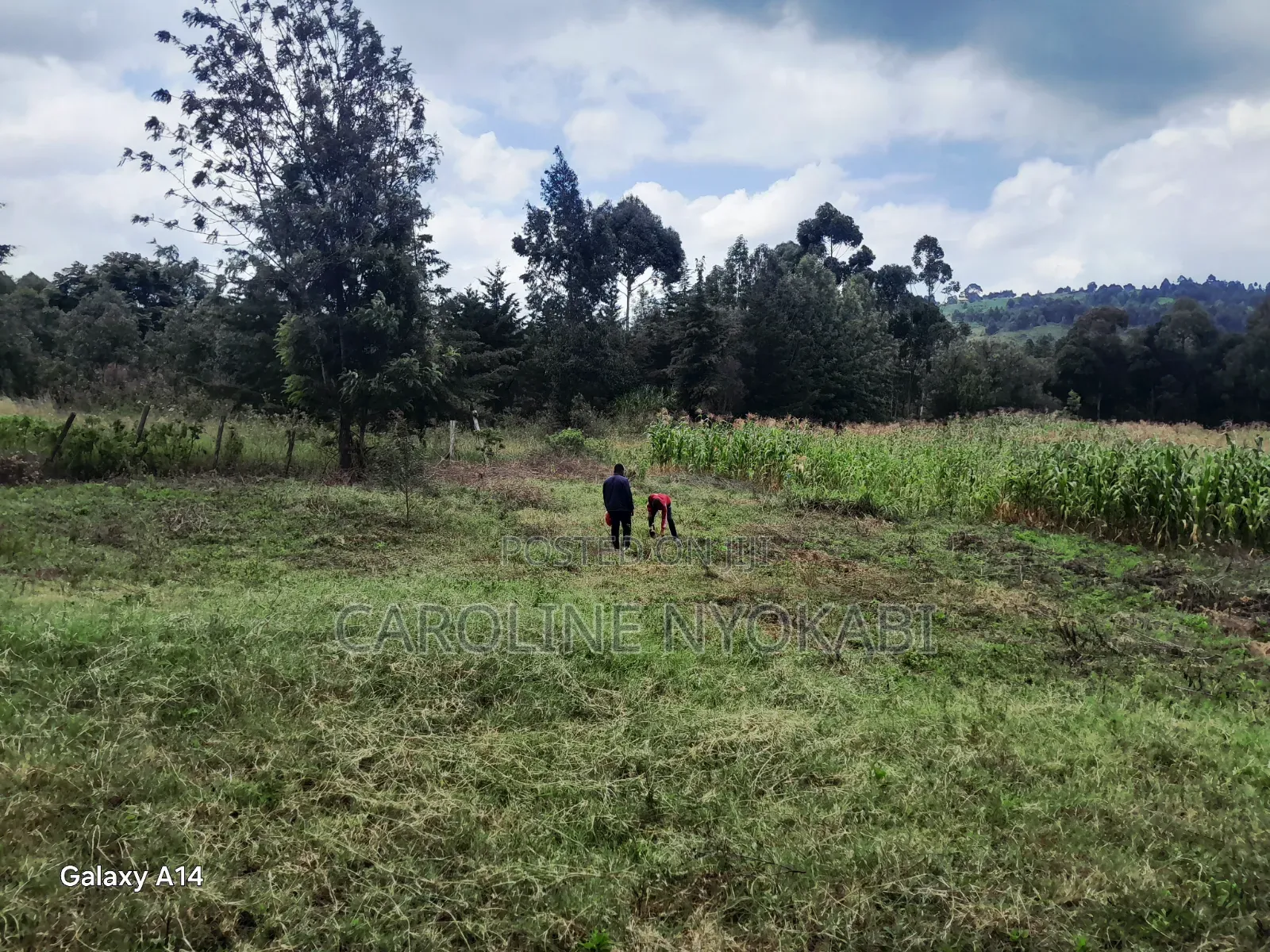 100by100 in Ndeiya