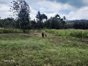 100by100 in Ndeiya