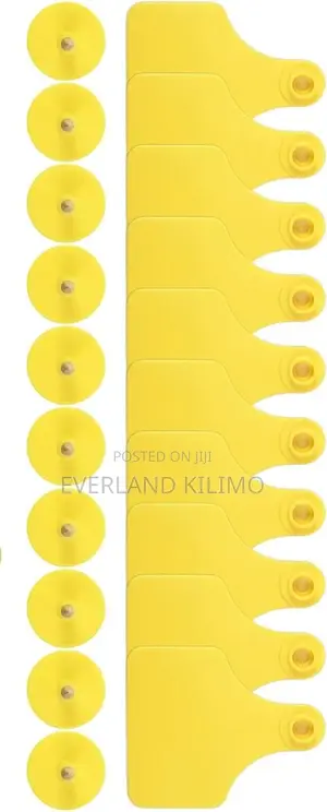 Medium Ear Tags for Training Herd