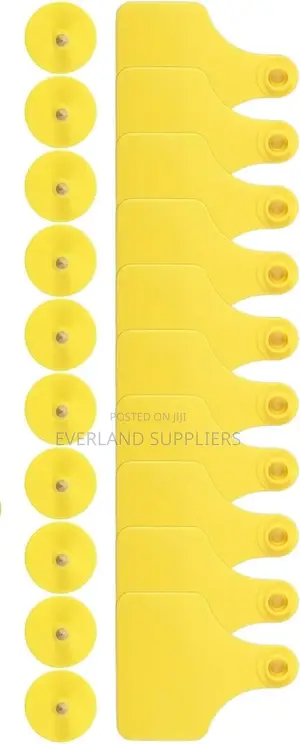 Medium Ear Tags for Training Herd