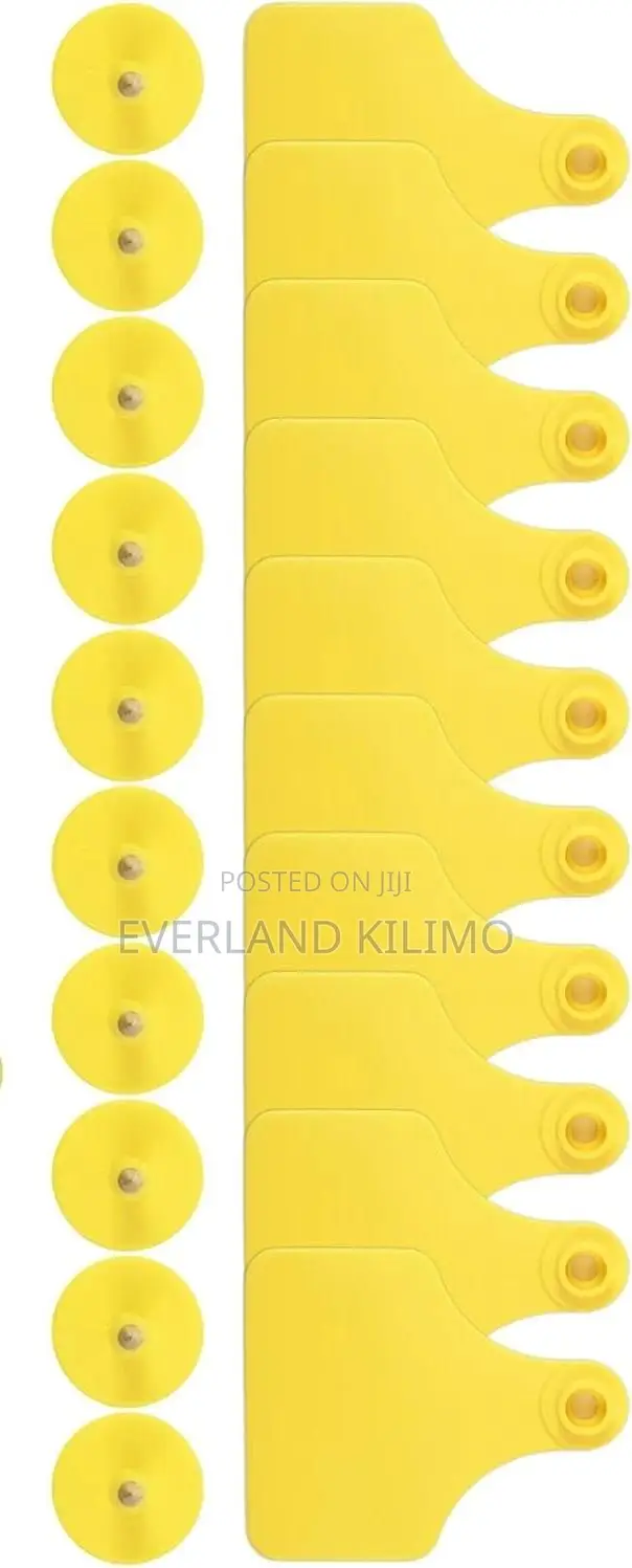 Medium Ear Tags for Training Herd
