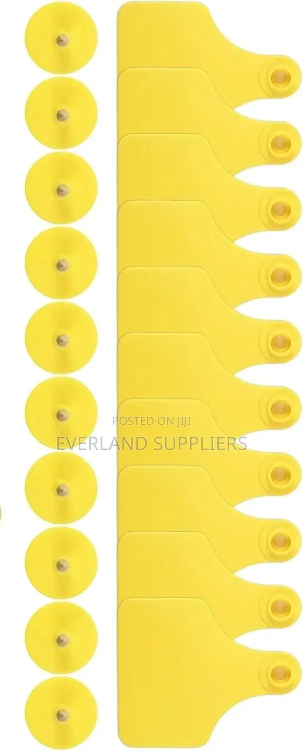 Medium Ear Tags for Training Herd