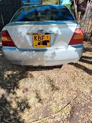 Toyota Corolla 2002 Silver