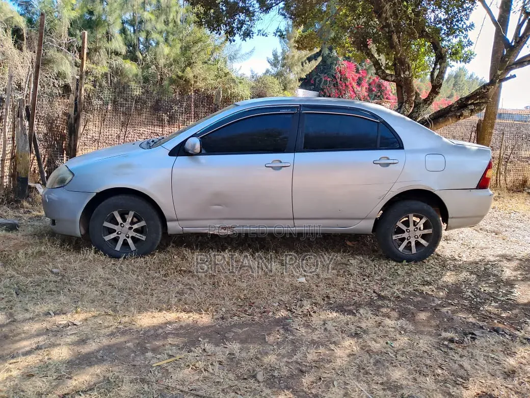 Toyota Corolla 2002 Silver