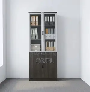 Office Cabinet : 2-Door Document Cabinet