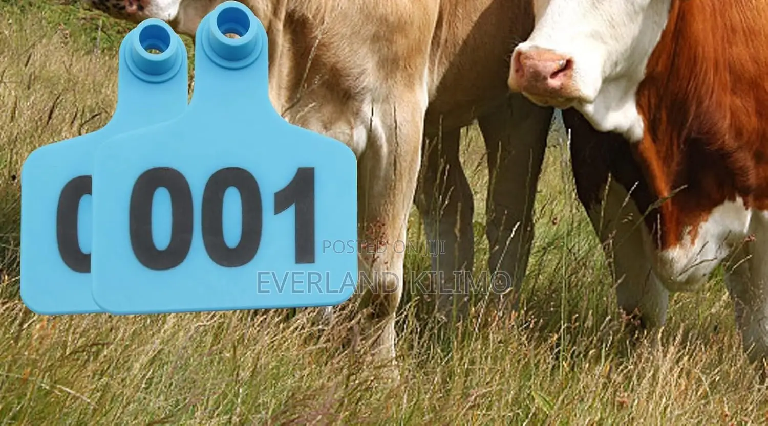 Animal Tracking Number - Small Ear Tag for Goats