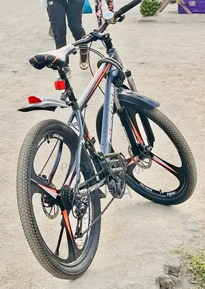 Alloy Rim Mountain Bike