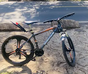 Alloy Rim Mountain Bike