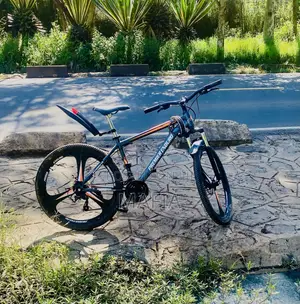 Alloy Rim Mountain Bike