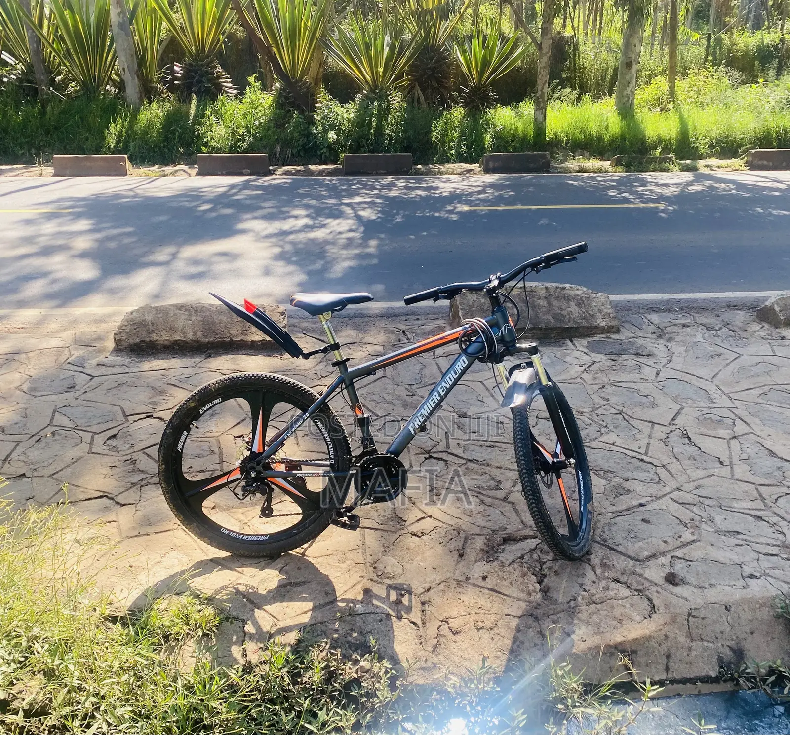 Alloy Rim Mountain Bike