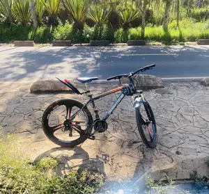 Alloy Rim Mountain Bike