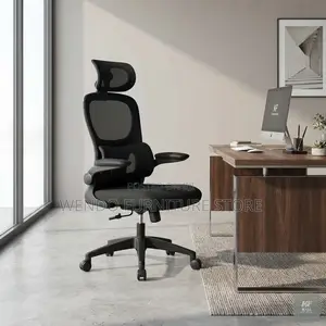 Office Chairs; Black Recliner Orthopedic Executive Home Office Chairs