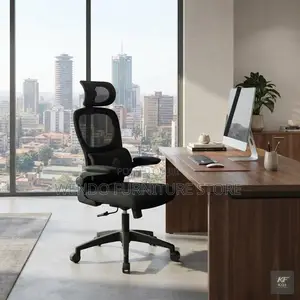 Office Chairs; Black Recliner Orthopedic Executive Home Office Chairs