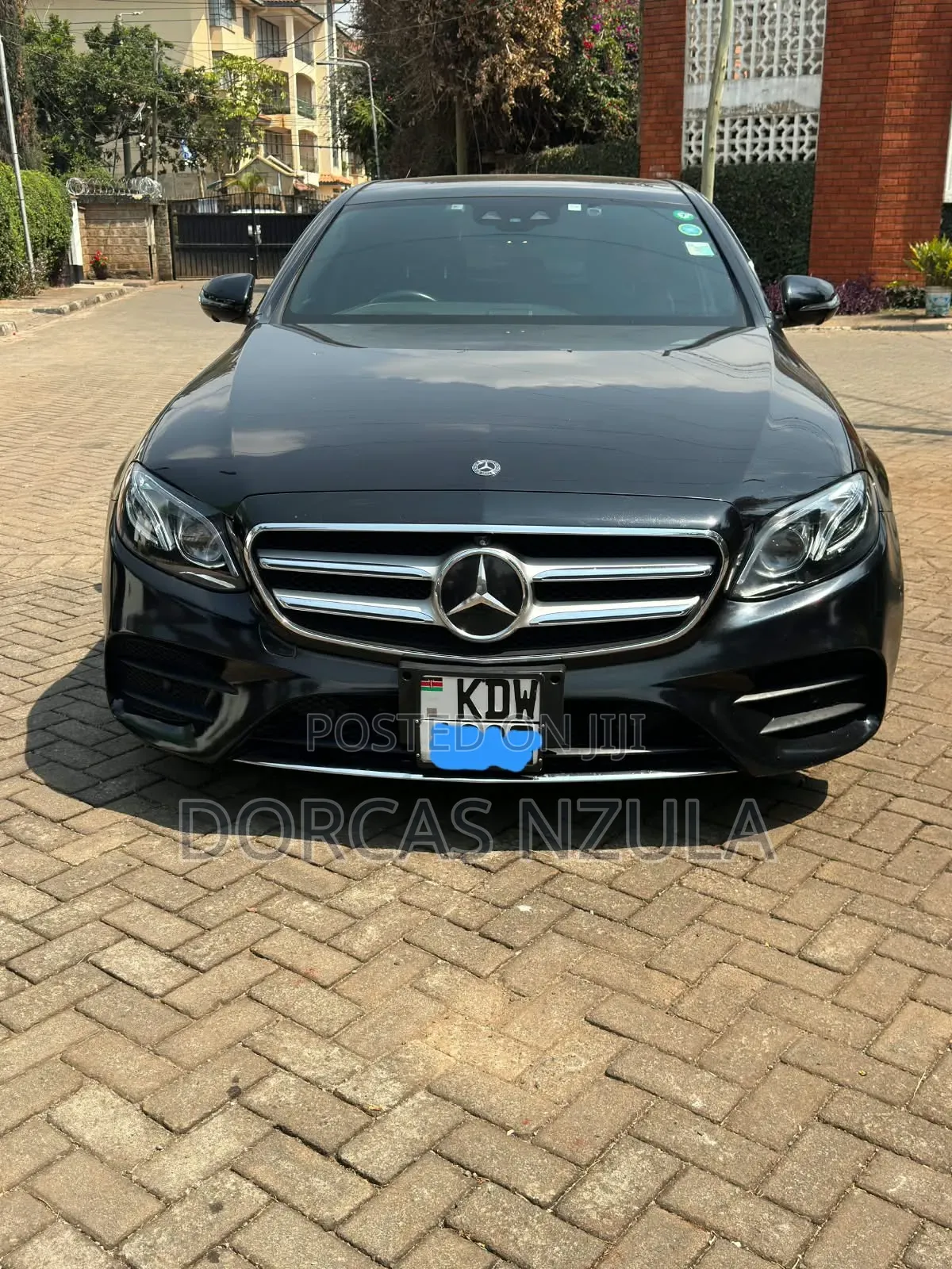 Vehicles Rental