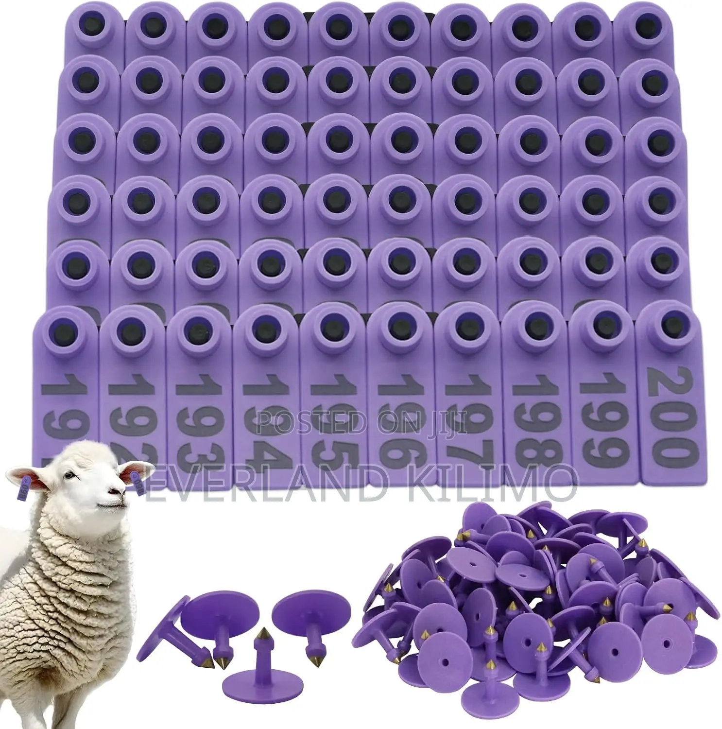 Herd Registration Slim Ear Tag for Goats