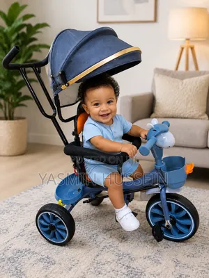 Tricycle With Canopy