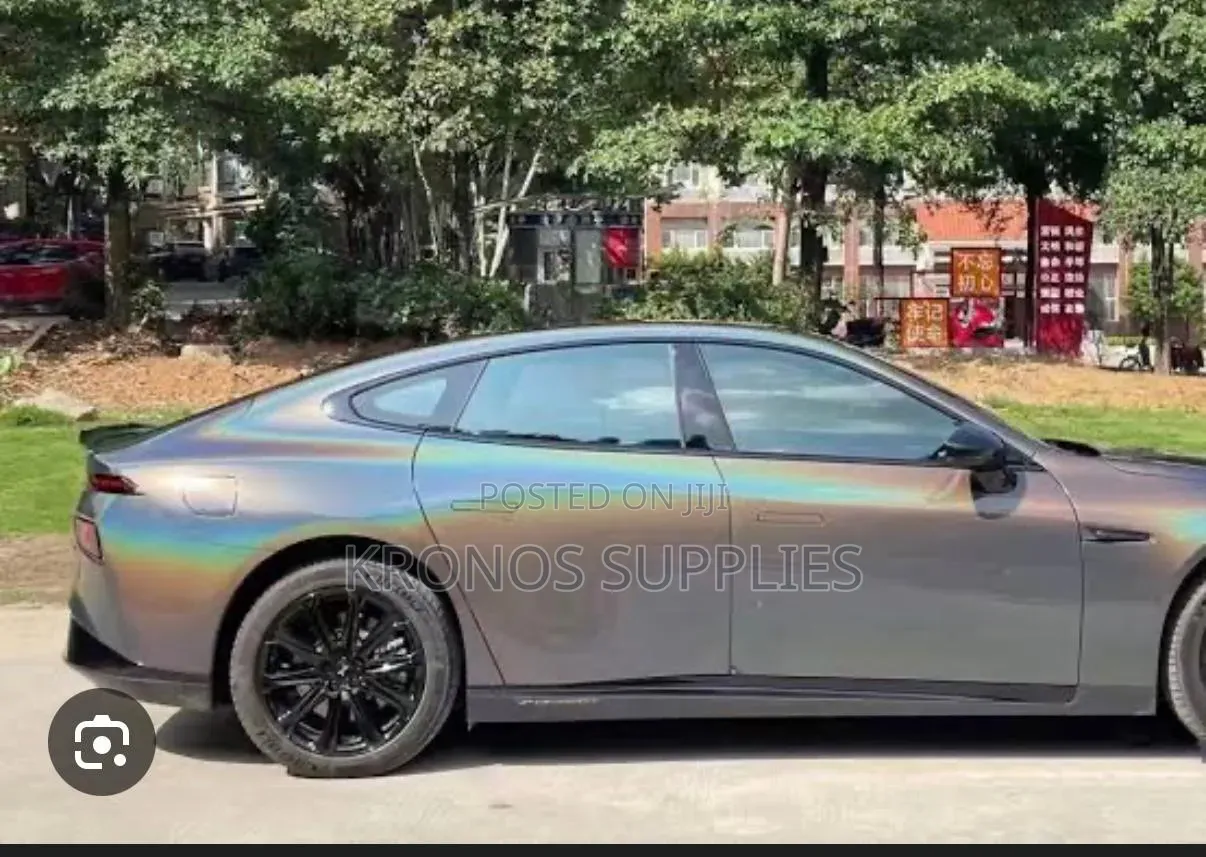 Pet Car Wrap
