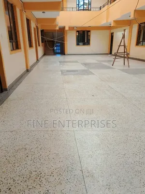Terrazzo Polishing