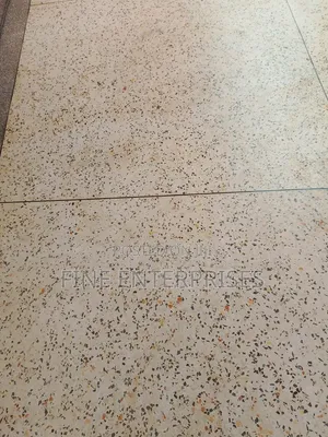 Terrazzo Polishing