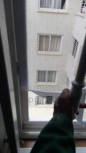 Windows Mosquito Nets
