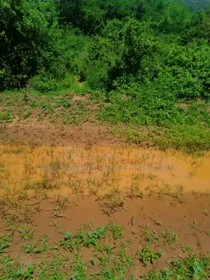 240 Acres With Water Is Available on Quick Sale in Makueni Emali