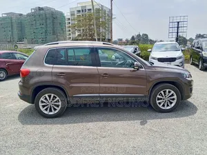 Volkswagen Tiguan 2014 Brown