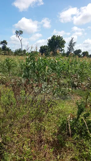 Shamba2 Acres