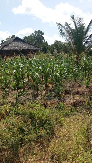 Shamba2 Acres