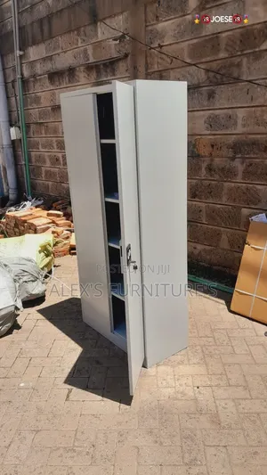 2doors Metallic Executive Office Cabinet