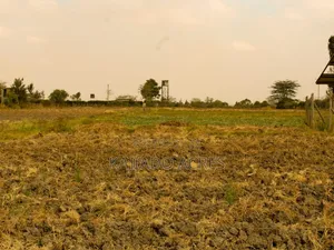 8 Acres Kisaju at 8m Per Acre