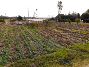 8 Acres Kisaju at 8m Per Acre