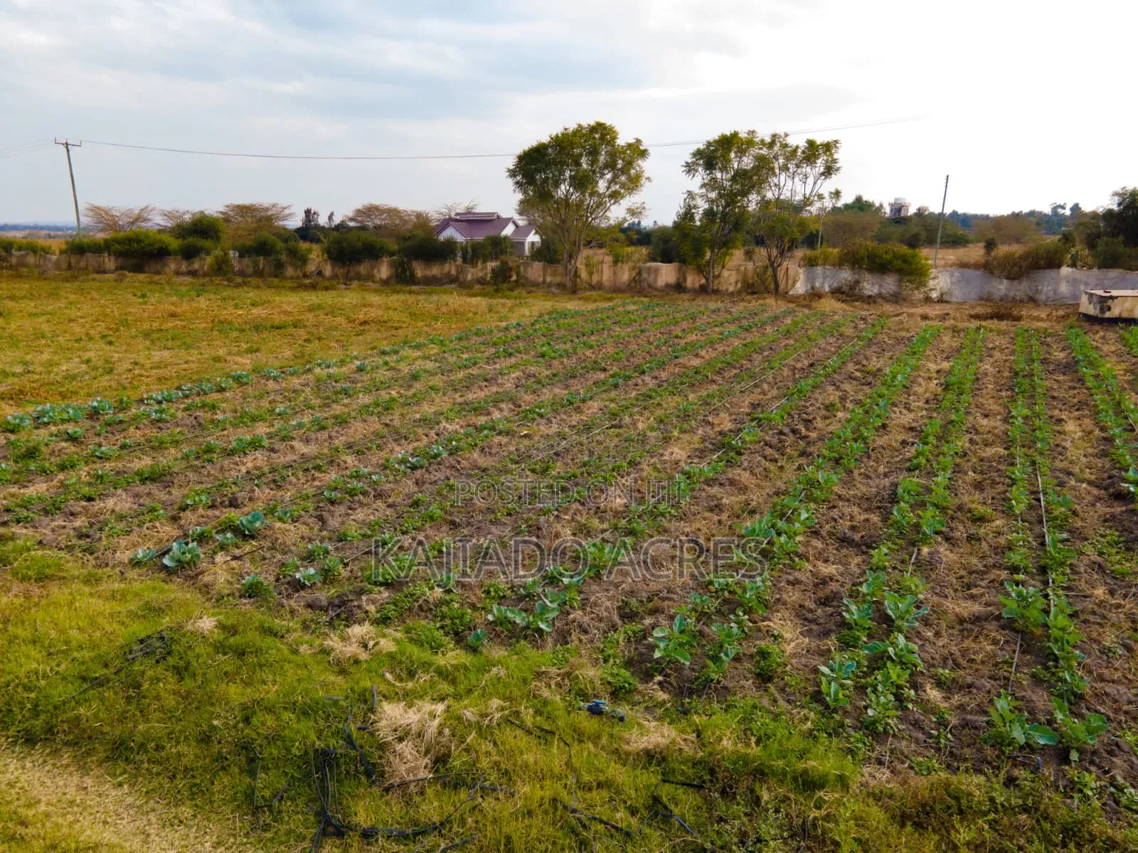 8 Acres Kisaju at 8m Per Acre